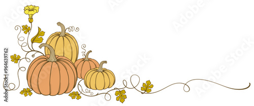 pumpkin with leaves, Pumpkin vector illustration suitable for thanksgiving, halloween,autumn,fall season design, vector eps