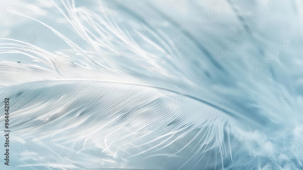Close-up of a delicate, soft white feather with intricate details. Close-up of a delicate, soft white feather with intricate details.