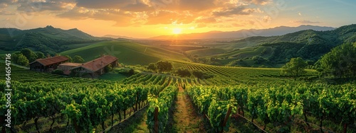 Rolling hills covered in vineyards, with traditional Georgian wine cellars.
