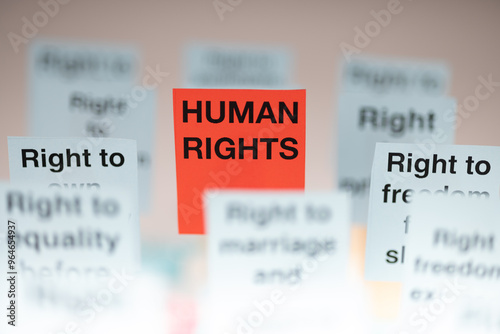 Horizontal Image of Human Rights Posters in Blue and Red with White Backdrop photo