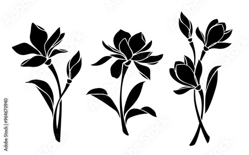 Magnolia flowers. Black silhouettes of magnolia flowers isolated on a white background. Set of vector illustrations