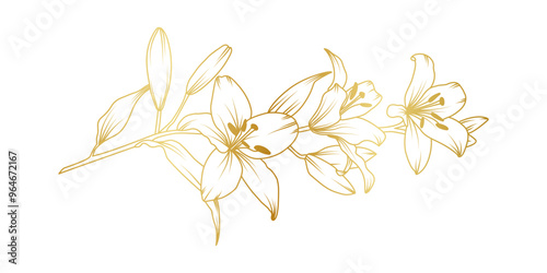 Golden lily flowers line art isolated on white background. Luxury lilies floral design elements for invitation, wedding, wallpaper, print template, vector illustration