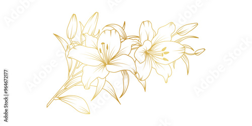 Golden lily flowers line art isolated on white background. Luxury lilies floral design elements for invitation, wedding, wallpaper, print template, vector illustration