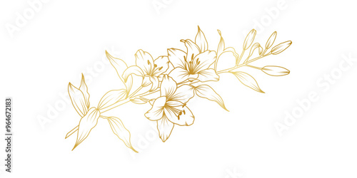 Golden lily flowers line art isolated on white background. Luxury lilies floral design elements for invitation, wedding, wallpaper, print template, vector illustration