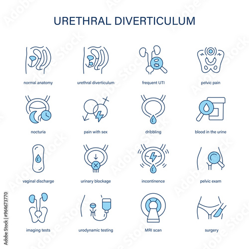 Urethral Diverticulum symptoms, diagnostic and treatment vector icons. Medical icons.