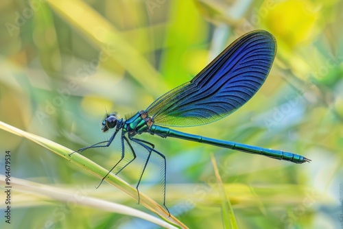 Solitary colorful dragoClose-up of a dragonfly sitting on a reednfly sitting on a green reed. Beautiful simple AI generated image