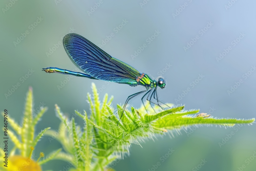 close-up dragonfly. Beautiful simple AI generated image close-up dragonfly. Beautiful simple AI generated image