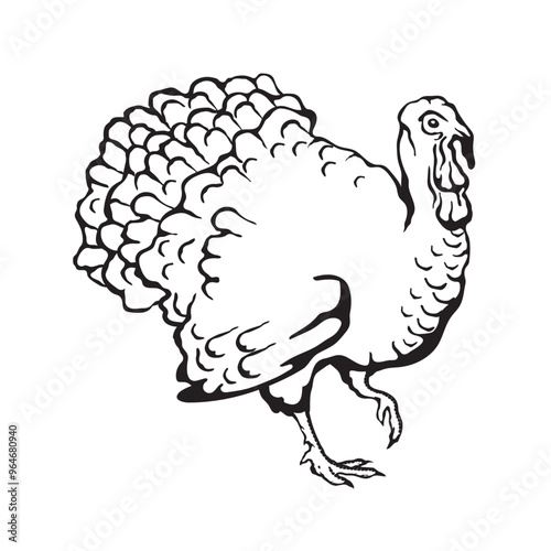 Vector illustration of a turkey in sketch style