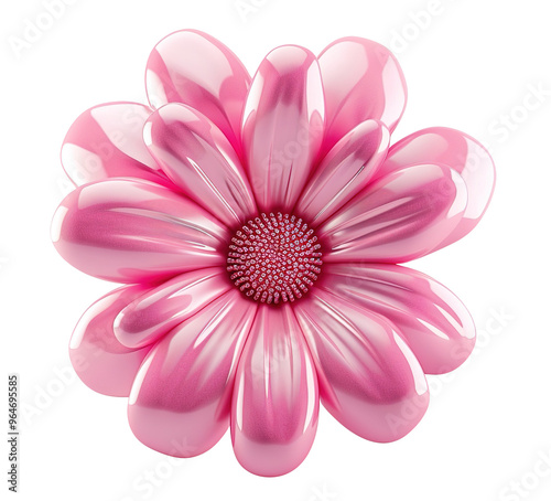 Elegant pink flower, top view, flat lay, on transparent background. Cut out design element for beauty, festive themes. Blossom. Mothers or Women's Day