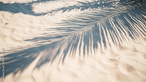 Shadows on Sandy Beach photo