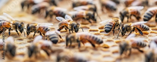 Creative depiction of urban beekeeping on a rooftop, symbolizing ecological wellness and sustainability