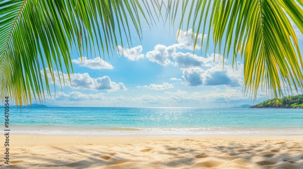 Fototapeta premium Serene Tropical Beach with Palm Fronds