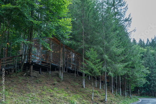 A glass-enclosed cabin is nestled among tall trees on a hillside in a dense forest. The structure features string lights, blending modern design with the natural surroundings, creating a tranquil