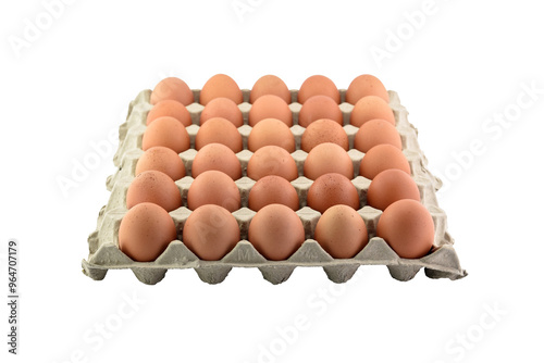 eggs in eco cardboard tray isolated on transparent, row of organic eggs product