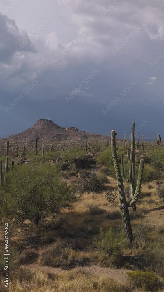 Vertical Aerial View Of Sonoran Desert landscape In A Preserve In Phoenix Area Vertical Aerial View Of Sonoran Desert landscape In A Preserve In Phoenix Area