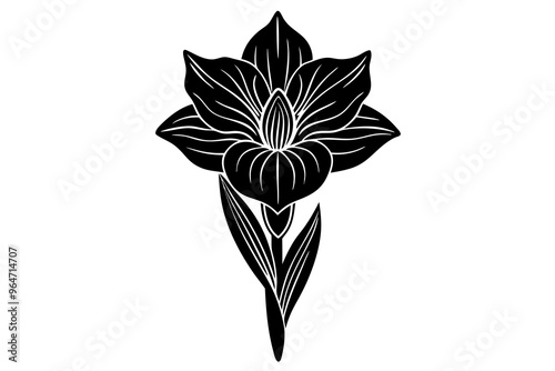 Freesia silhouette or flower silhouette vector art illustration on a white background.