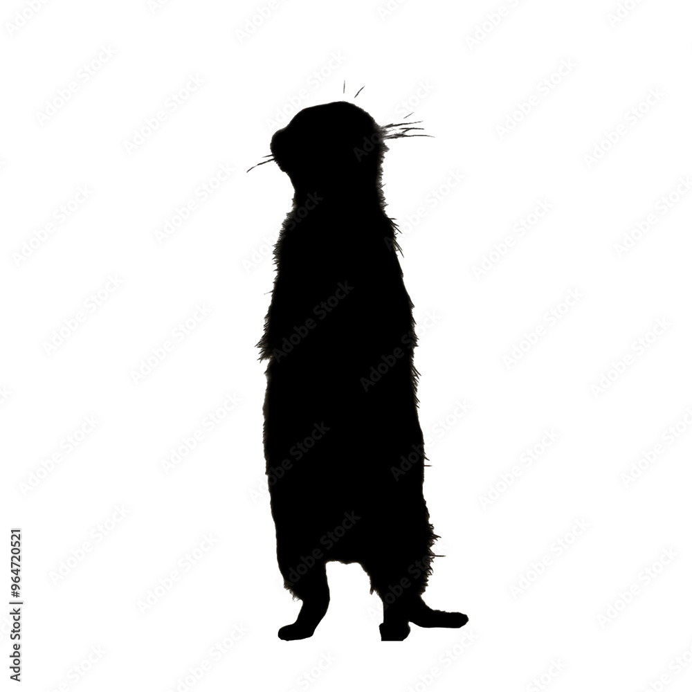 Meerkat Clipart | Hand Drawn Meerkat | Meerkat Illustration Meerkat Clipart | Hand Drawn Meerkat | Meerkat Illustration