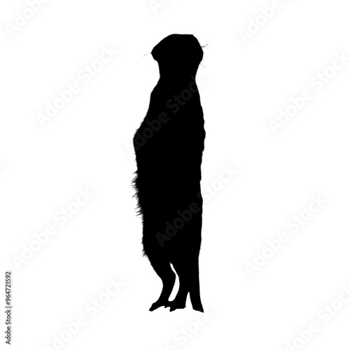 Meerkat Illustration | Meerkat Silhouette | Meerkat Icon