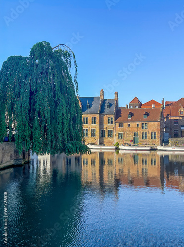 Brugge, Flanders, Belgium - June 23, 2024: View on Huidevettersquay from Nepomucenus Bridge. Huge weeping willow tree and historic facades. Dijver canal and blue sky photo