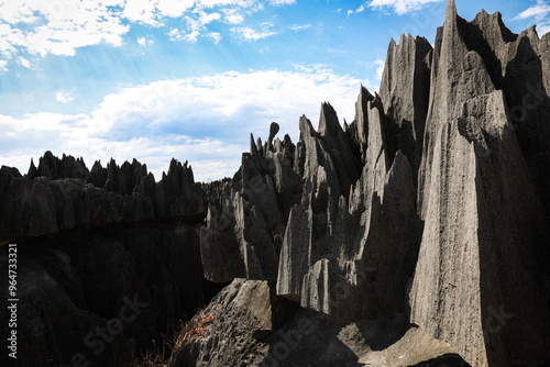 Exploring the dramatic limestone formations of Tsingy de Bemaraha National Park in Madagascar under a clear blue sky photo