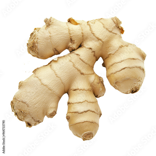 Fresh ginger root showcasing its unique shape and texture, perfect for culinary and health-related use. photo