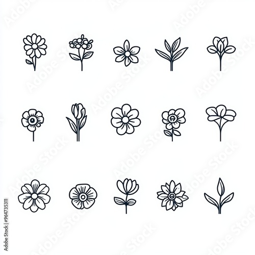 Blooming Beauties: A Minimalist Floral Collection: Embrace the delicate beauty of nature with this collection of 15 minimalist flower and leaf illustrations. 