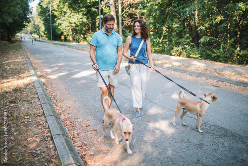 Photography Couple walking dogs in the park