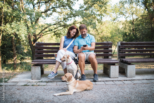Photography Couple sitting on the park's bench after walking their dogs
