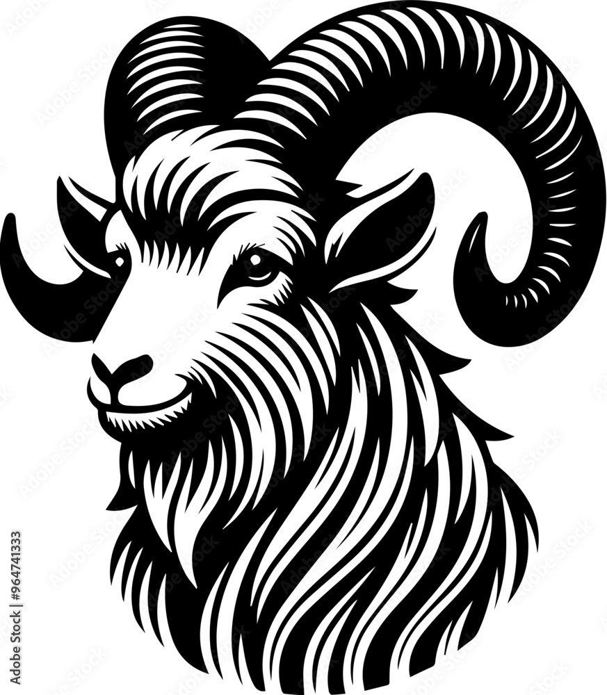 Cashmere Goat