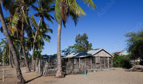 Authentic dwellings in Madagascar showcase simple architecture under clear blue skies and swaying palm trees