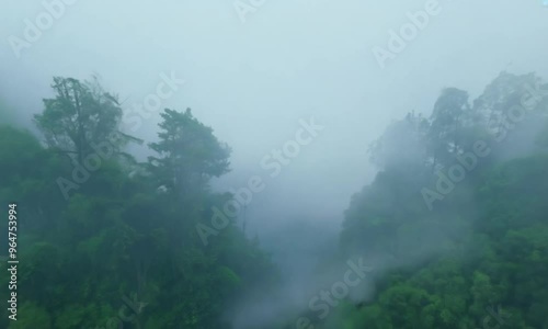 Amazonas Regenwald Landschaft Nebel Naturschutz Umweltschutz Wald Brasilien Outdoor Wildnis | Aerial Drone Shot 