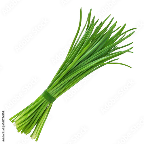 Fresh green chives tied together, perfect for culinary use and garnishing dishes. transparent background photo