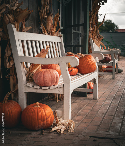 Halloween season is right around the corner