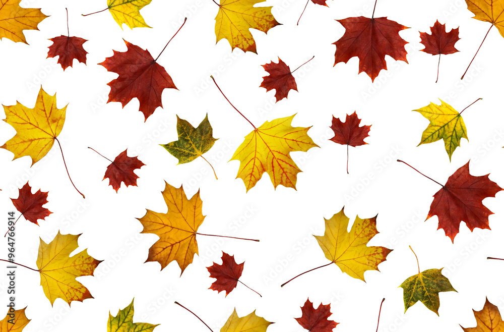 Seamless autumn pattern with yellow maple leaves on a white background. Seamless autumn pattern with yellow maple leaves on a white background.