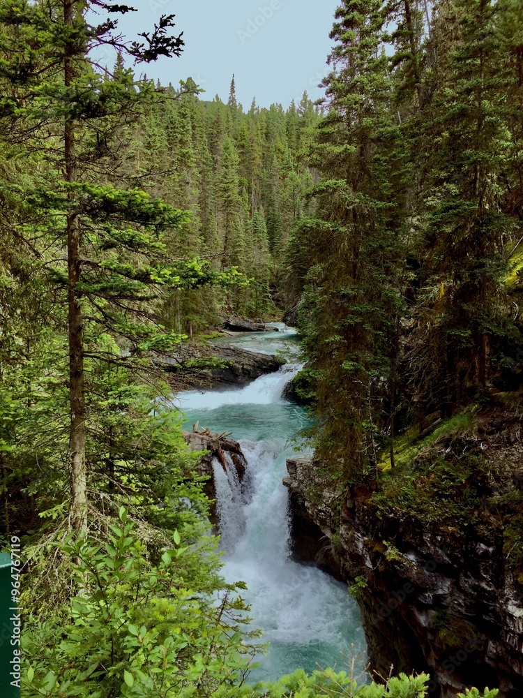 Fototapeta premium waterfall in the woods