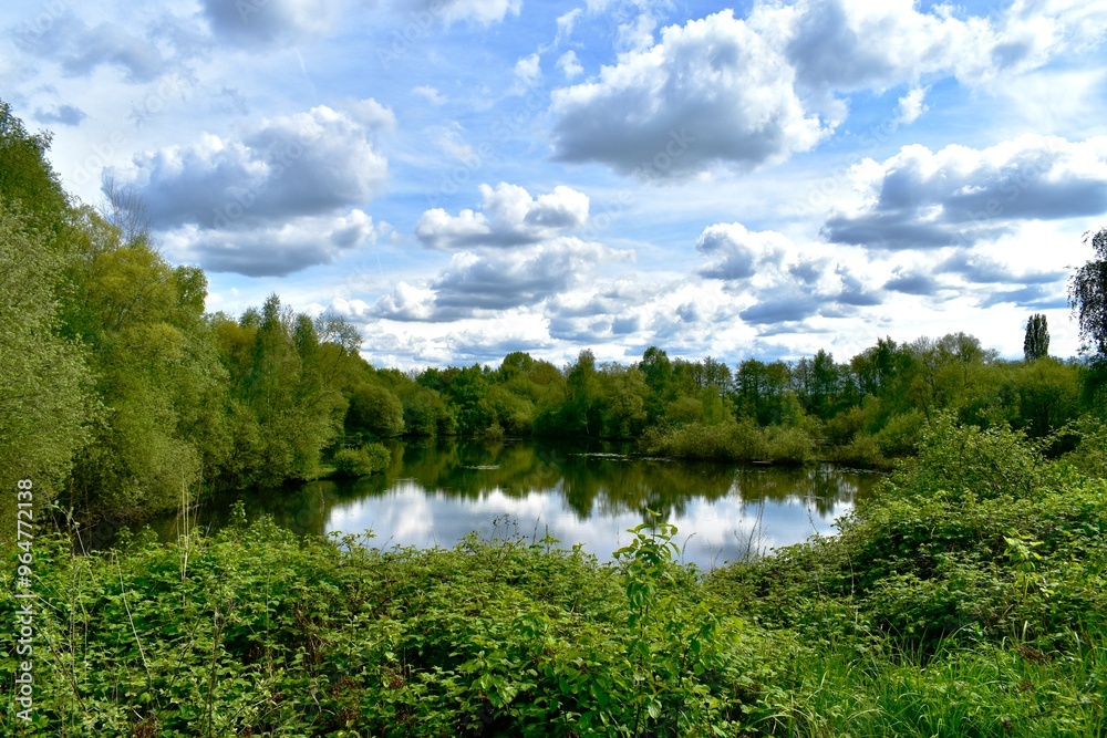 Lake in the woods in summer, Brandon Marsh, West Midlands, England, UK Lake in the woods in summer, Brandon Marsh, West Midlands, England, UK