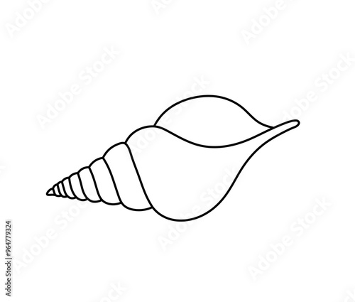 Vector isolated one single simple beautiful sea shell colorless black and white contour line easy drawing