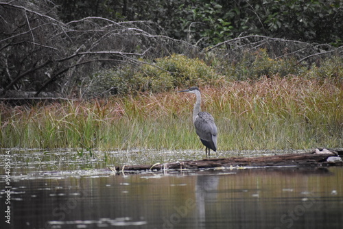 Parc Mauricie Lac Wapizagonke Et Sentier National 7 Septembre 2024 photo