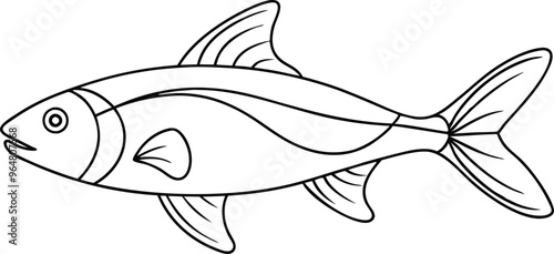 drawing fish line art vector illustration