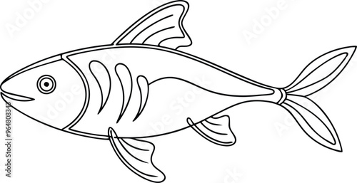 drawing fish line art vector illustration