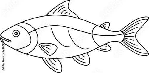 drawing fish line art vector illustration