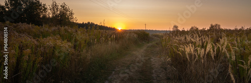 Country road through a field with tall grass in the warm light of an evening sunset with a low sun, orange dawn and sunbeams. Summer-autumn widescreen panoramic landscape photo