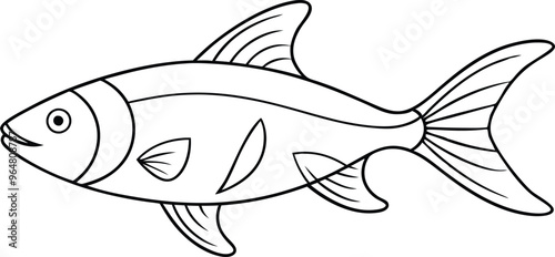 drawing fish line art vector illustration