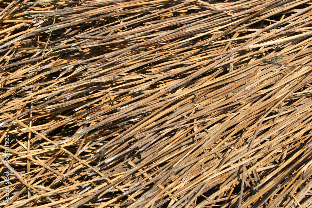 Yellow straw texture close up. Dried grass background. Haystack for mulching, fodder, organic farming and permaculture Yellow straw texture close up. Dried grass background. Haystack for mulching, fodder, organic farming and permaculture