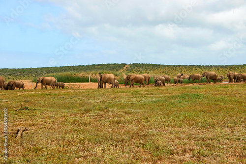 Eine Reise durch Südafrika. Auf Safari durch die afrikanische Savanne.