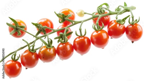 Fresh cherry tomatoes growing on a green branch