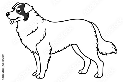 Australian Shepherd silhouette vector illustration