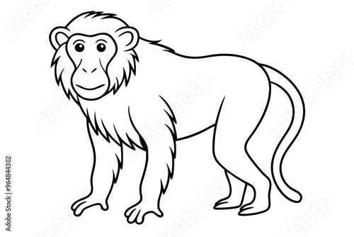 Baboon silhouette vector illustration. Line art vector photo