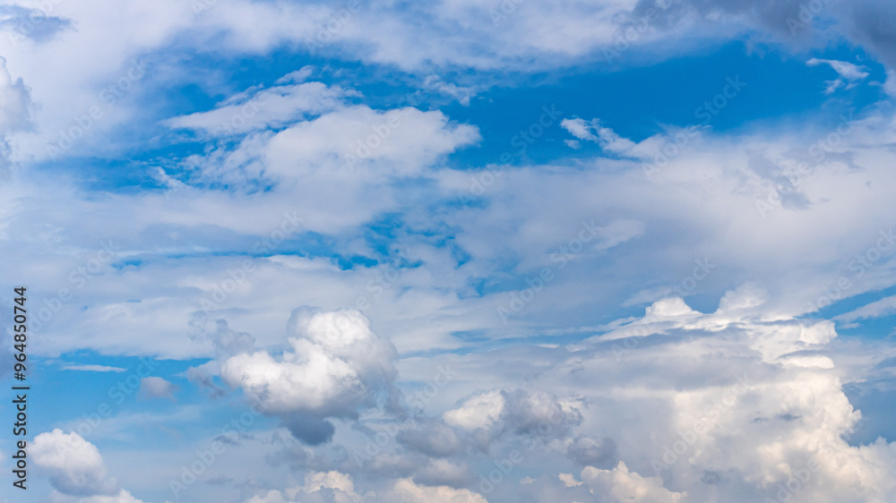 Fototapeta premium cumulus clouds in blue sky