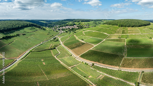 Le vignoble de Bourgogne à Pernand-Vergelesses